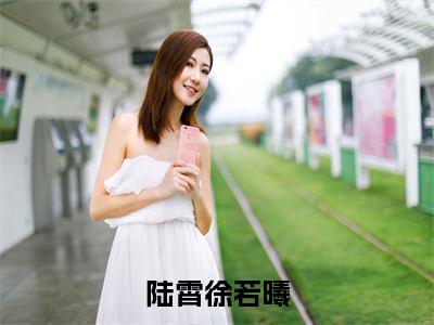 陆霄徐若曦小说最新试读_小说名是(陆霄徐若曦)