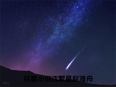 沈繁星赵淮舟小说(沈繁星赵淮舟)免费阅读无弹窗,小说名字是：沈繁星赵淮舟的小说在线阅读无删减