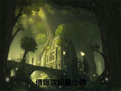 傅熠沈织星小说全文，傅熠沈织星无弹窗免费阅读