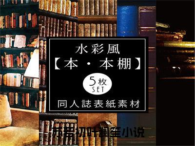 苏若初叶澜笙免费阅读无弹窗，苏若初叶澜笙小说大结局全文免费阅读