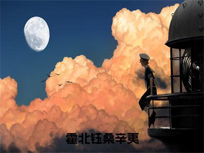 霍北钰桑辛夷（霍北钰桑辛夷）全文免费阅读无弹窗_霍北钰桑辛夷最新小说_笔趣阁（霍北钰桑辛夷）