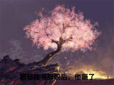 顾总秘书辞职后，他疯了（叶星辞顾凛寒）全文免费阅读-顾总秘书辞职后，他疯了（叶星辞顾凛寒）全章节完整版在线阅读