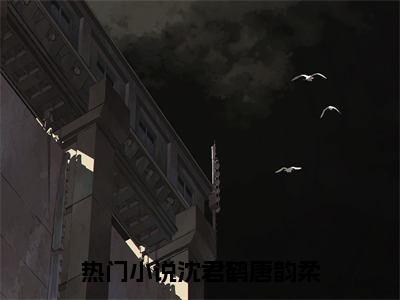 （沈君鹤唐韵柔）抖音沈君鹤唐韵柔小说阅读完结版-沈君鹤唐韵柔小说全文免费阅读