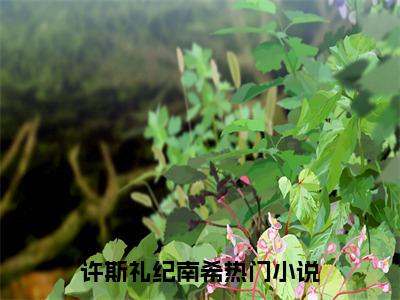 （许斯礼纪南希）免费小说 许斯礼纪南希全文精彩章节阅读