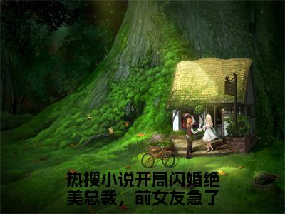 开局闪婚绝美总裁，前女友急了方恒全文免费阅读（开局闪婚绝美总裁，前女友急了方恒免费阅读无弹窗）开局闪婚绝美总裁，前女友急了方恒精彩小说阅读_笔趣阁