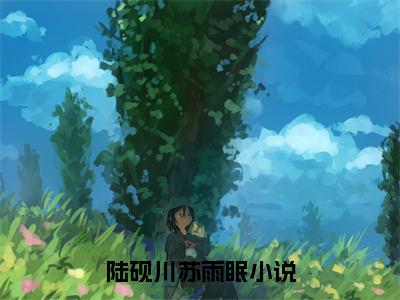 陆砚川苏雨眠全本资源免费阅读结局无删节-陆砚川苏雨眠小说全文阅读无弹窗