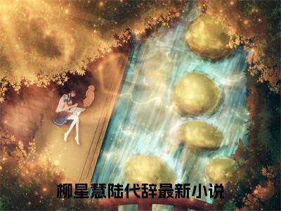 柳星慧陆代辞是什么小说-（柳星慧陆代辞）小说全文阅读