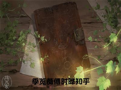 季览薇傅时晔完整版（季览薇傅时晔小说）全文免费阅读无弹窗大结局_季览薇傅时晔最新章节（季览薇傅时晔小说）