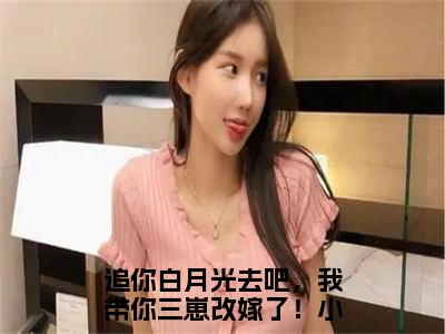 向暖安瑾宸（追你白月光去吧，我带你三崽改嫁了！）小说全文免费阅读-向暖安瑾宸（追你白月光去吧，我带你三崽改嫁了！）小说免费版最新更新阅读