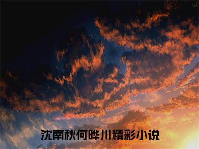 沈南秋何晔川是什么小说 沈南秋何晔川全本免费阅读