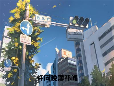 许向晚薄祁闻全文免费阅读无弹窗大结局_(许向晚薄祁闻免费阅读)许向晚薄祁闻最新章节在线阅读_笔趣阁