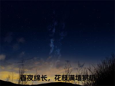 春夜绵长，花枝满墙小说免费阅读无弹窗大结局，江云山姜蕊最新章节列表