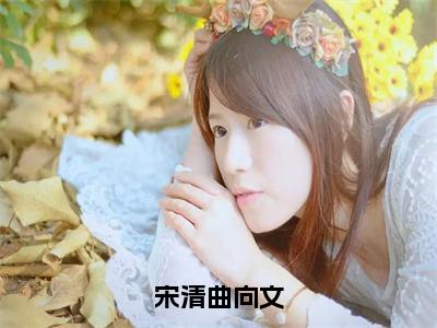 送情（宋清曲向文）免费阅读-（宋清曲向文）最新章节小说全文在线阅读