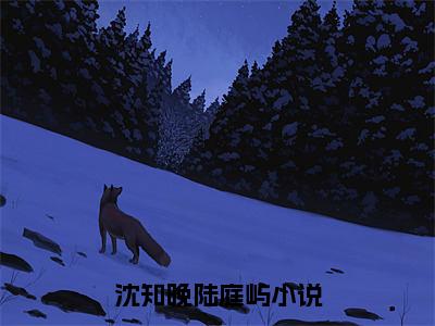 沈知晚陆庭屿（沈知晚陆庭屿）全集免费阅读无弹窗_(沈知晚陆庭屿小说免费阅读)_笔趣阁