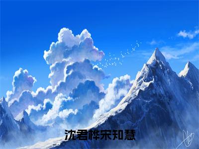 沈君桦宋知慧小说（沈君桦宋知慧）全文免费阅读无弹窗大结局_沈君桦宋知慧小说无弹窗精彩阅读_笔趣阁