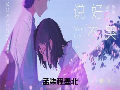 孟柒程墨北（孟柒程墨北）小说第20章第3节讲述的是什么？孟柒程墨北小说在线阅读