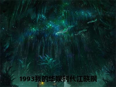 1993我的华娱时代江晓枫精选热门小说-1993我的华娱时代江晓枫免费全文阅读