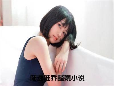 《陆逸淮乔懿婉》全文免费阅读最新章节大结局-陆逸淮乔懿婉无弹窗阅读