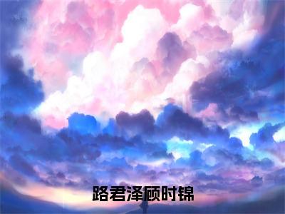 路君泽顾时锦小说全文（路君泽顾时锦）在线阅读-路君泽顾时锦全文免费阅读无弹窗大结局