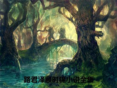 路君泽顾时锦(路君泽顾时锦)全文免费阅读无弹窗大结局_(路君泽顾时锦)小说免费阅读最新章节列表