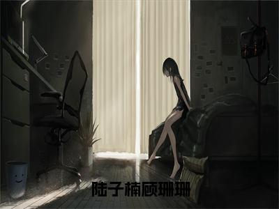 陆子楠顾珊珊在线阅读的小说完整版-陆子楠顾珊珊（陆子楠顾珊珊）小说免费阅读