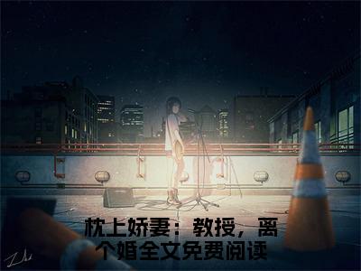 枕上娇妻：教授，离个婚全文免费阅读无弹窗大结局-温冉宁顾衍深最新章节列表免费阅读