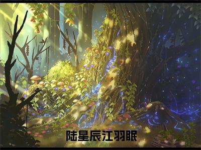 陆星辰江羽眠正版阅读小说全文陆星辰江羽眠-《陆星辰江羽眠》免费小说无广告