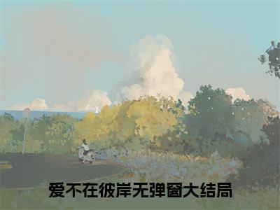 全章节完整《夏鸢沈弛牧》全文阅读《爱不在彼岸》