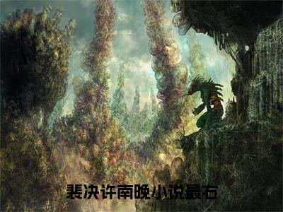 裴决许南晚（完整版）热文小说阅读-裴决许南晚全文抖音热推