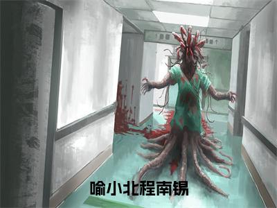 喻小北程南锡精彩章节免费阅读-喻小北程南锡小说完整版