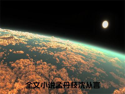 孟丹枝沈从言免费小说-孟丹枝沈从言已更新最新章节