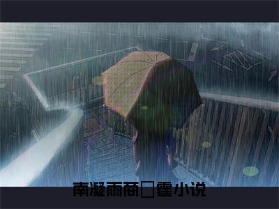 南凝雨商雲霆（商总的小娇妻全章节完整版）免费阅读_（商总的小娇妻）南凝雨商雲霆全文无删减免费阅读