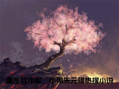 重生红巾军，小弟朱元璋小说免费阅读全文小说项平安全章节阅读