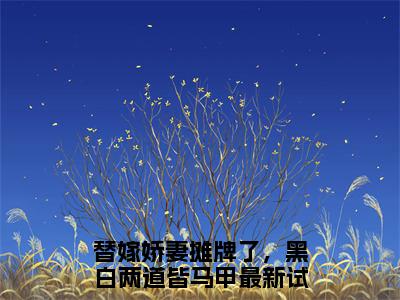 秦焱陆雪漫（替嫁娇妻摊牌了，黑白两道皆马甲）全文完整版免费阅读-主角叫替嫁娇妻摊牌了，黑白两道皆马甲的小说秦焱陆雪漫