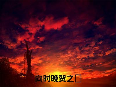 向时晚贺之旸（贺之旸向时晚）免费小说-贺之旸向时晚全文阅读目录