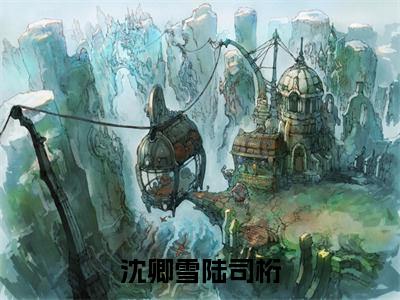 陆司桁沈卿雪（沈卿雪陆司桁）全文免费阅读无弹窗大结局_陆司桁沈卿雪最新章节列表_笔趣阁(陆司桁沈卿雪）