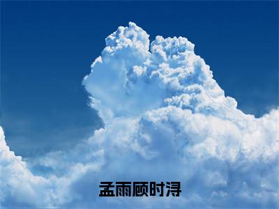 顾时浔孟雨免费版最新更新阅读- 孟雨顾时浔小说全文在线阅读