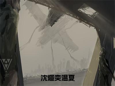 温夏沈煊奕小说（沈煊奕温夏）全文免费阅读无弹窗大结局-沈煊奕温夏最新热点小说