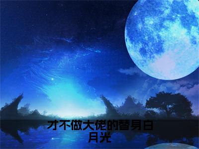 才不做大佬的替身白月光抖音最新热点小说，沈辞生许舒小说最新章节阅读