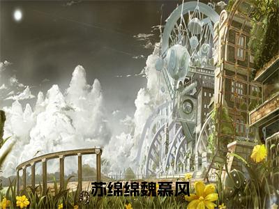 魏慕风苏绵绵（苏绵绵魏慕风全章节完整版）免费阅读_（魏慕风苏绵绵）苏绵绵魏慕风全文无删减免费阅读（魏慕风苏绵绵）