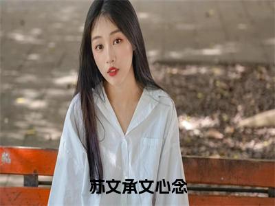 (热推新书)美文摘抄（苏文承文心念）主人公为（文心念苏文承）的小说 苏文承文心念大结局全文免费阅读_笔趣阁