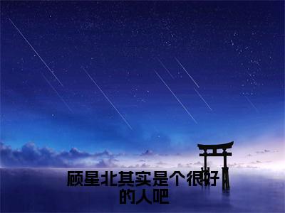 顾星北其实是个很好的人吧小说（林槿月顾星北）全文免费阅读无弹窗大结局_顾星北其实是个很好的人吧全文免费完结版阅读（林槿月顾星北）