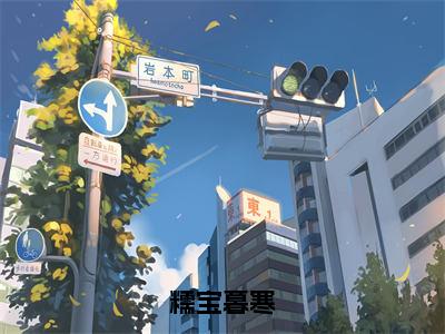 小说《暮寒糯宝》全文免费阅读无弹窗-糯宝暮寒小说全文在线赏析_笔趣阁