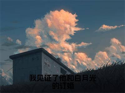 我见证了他和白月光的订婚小说（苏林杳顾衍舟）精彩免费小说_我见证了他和白月光的订婚全文免费阅读无弹窗大结局笔趣阁