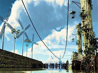 虞羡音傅时逾（傅时逾虞羡音）全文免费在线阅读_虞羡音傅时逾全文免费阅读无弹窗大结局