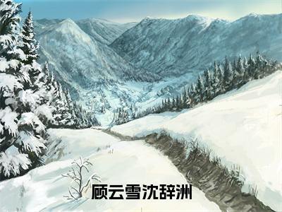 【新书】《顾云雪沈辞洲》全文免费阅读最新章节大结局-沈辞洲顾云雪 全文全章节免费阅读