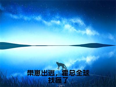 小说带崽出逃，霍总全球找疯了（霍少衍安歌）全文免费阅读-2023最火热门小说带崽出逃，霍总全球找疯了最新章节更新