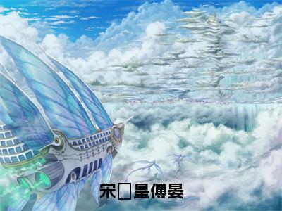 （宋婠星傅晏）傅晏宋婠星全文完整版-2023最新热门榜单小说宋婠星傅晏（傅晏宋婠星）