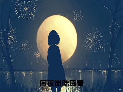 戚夜岚陆琢青小说（陆琢青戚夜岚）全文免费阅读无弹窗_戚夜岚陆琢青最新小说_笔趣阁（陆琢青戚夜岚）