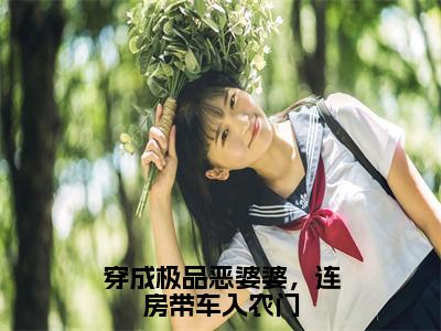 穿成极品恶婆婆，连房带车入农门（何翠枝方柳生）免费小说-何翠枝方柳生全文阅读目录